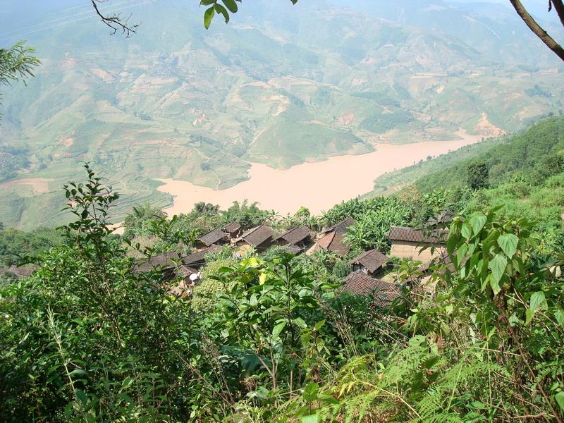 獨樹村(雲南景東縣大朝山東鎮下轄村)