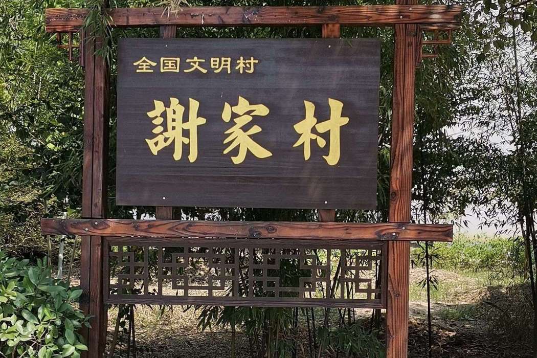 謝家村(山東省濟南市濟陽區太平街道下轄村)