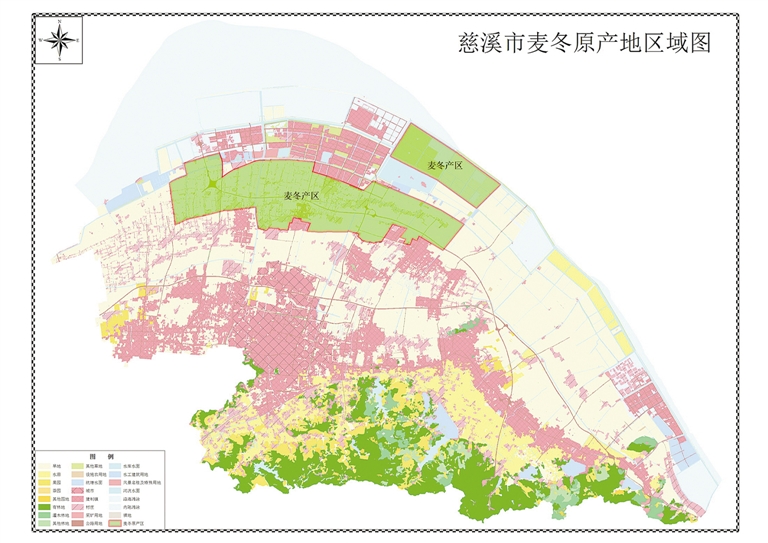 慈谿麥冬