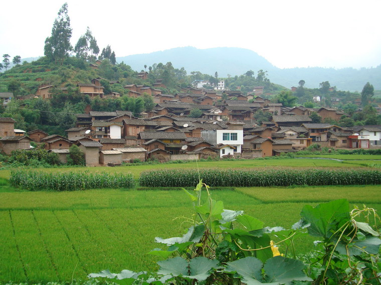 松樹林下村