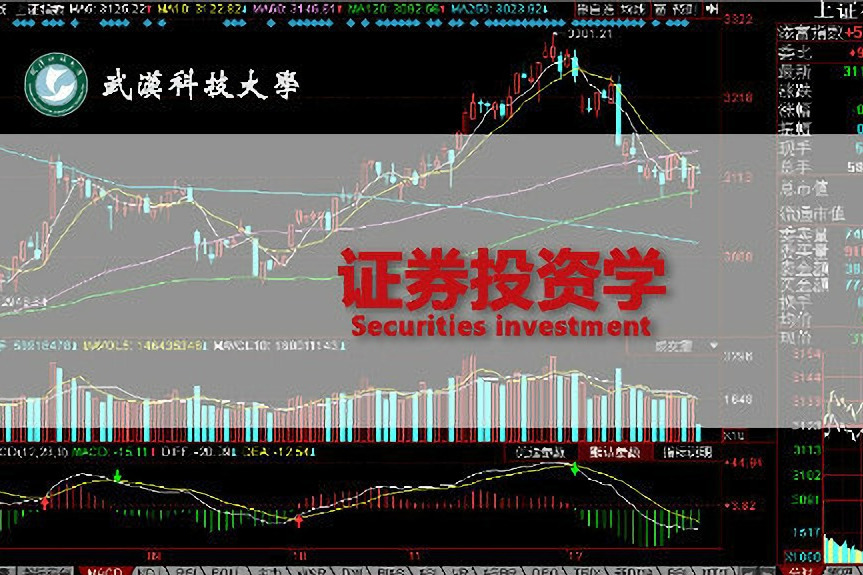 證券投資學(武漢科技大學提供的慕課)