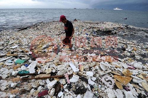 海洋污著生物