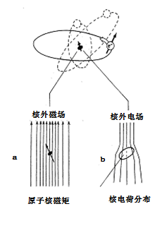 圖1，原子核核矩與核外電磁場相互作用