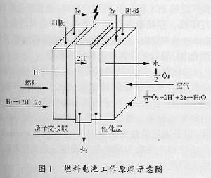 燃料電池