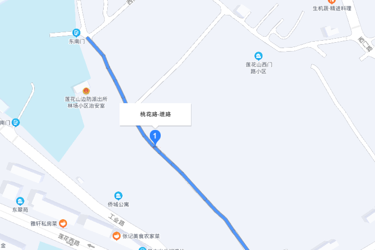 桃花路(廣東省廣州市番禺區桃花路)