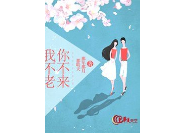 你不來，我不老(那年那月那晴天所著小說)