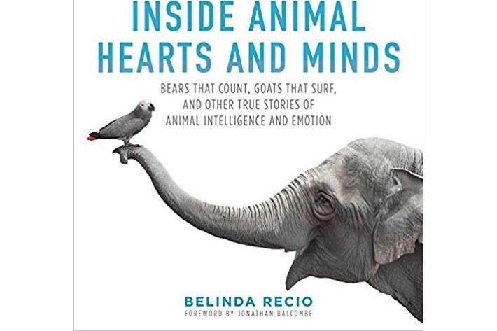 Inside Animal Hearts and Minds