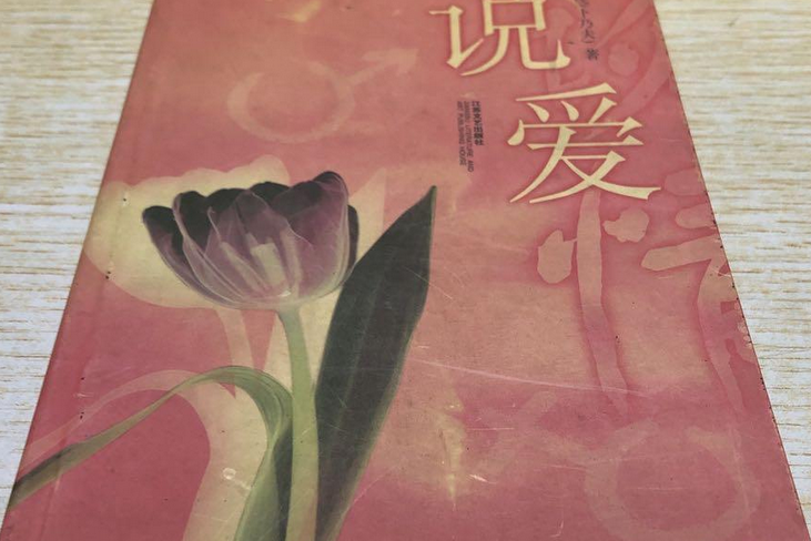 說愛(2001年江蘇文藝出版社出版的圖書)