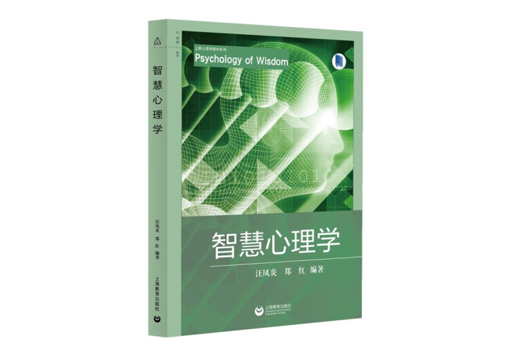 智慧心理學(2022年上海教育出版社出版的圖書)