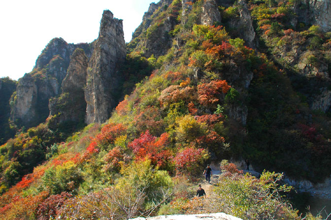 琶山村