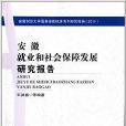 安徽就業和社會保障發展研究報告