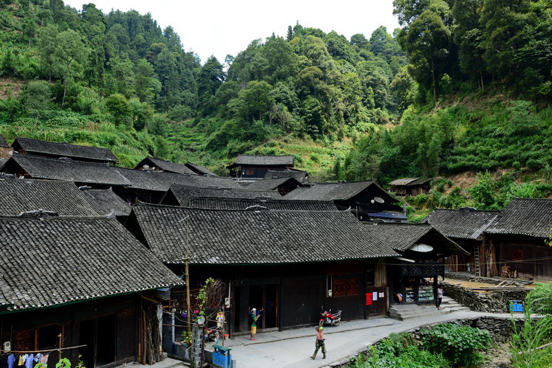 木芽村