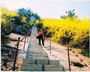 魯山風景區