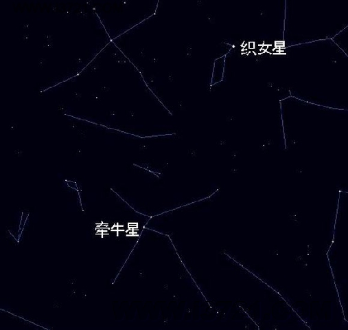 牛郎星