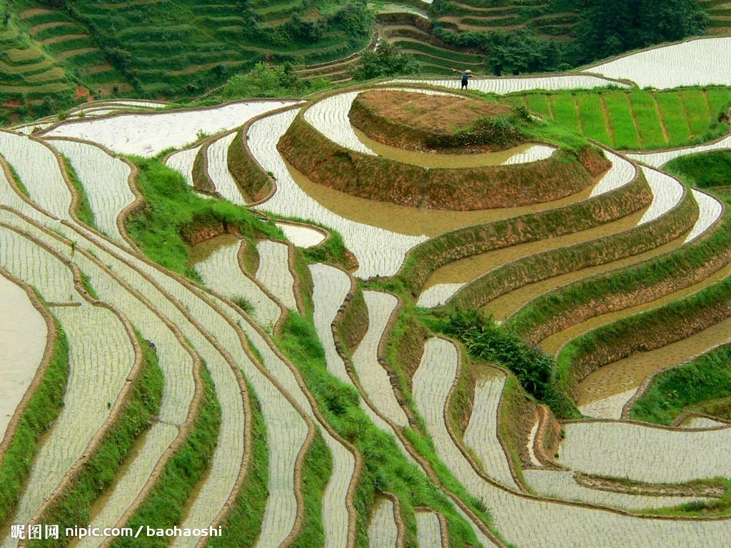 隔坡梯田