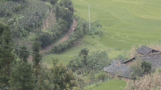 雨灑壩自然村村內道路