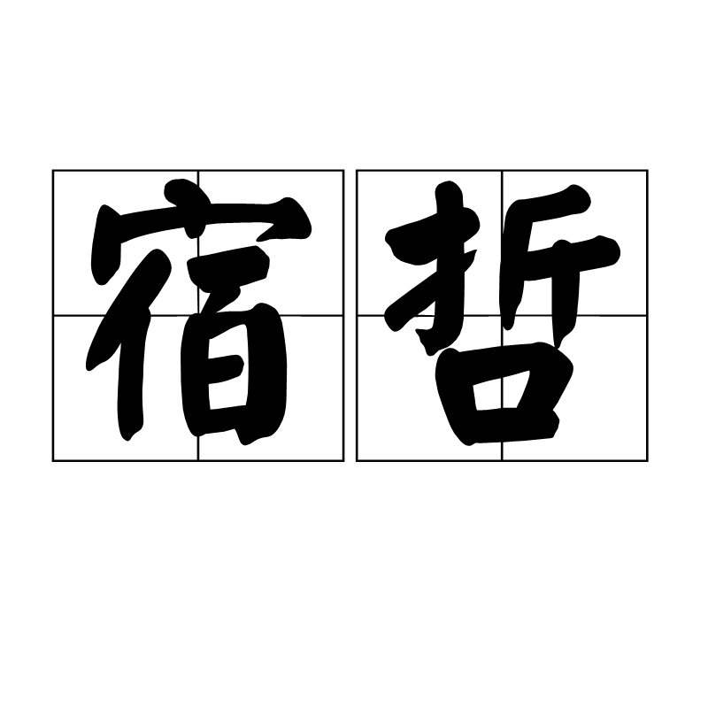 宿哲(古文，明達而有才智的老臣)