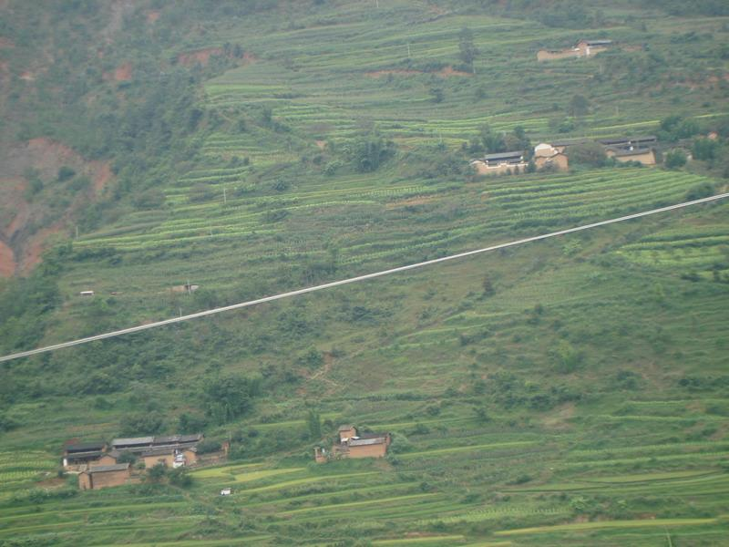 領崗村(雲南楚雄州西舍路鄉下轄村)