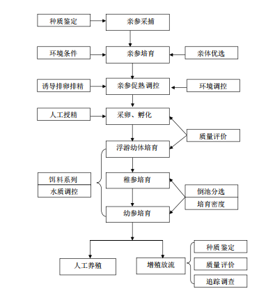 靈山島海參