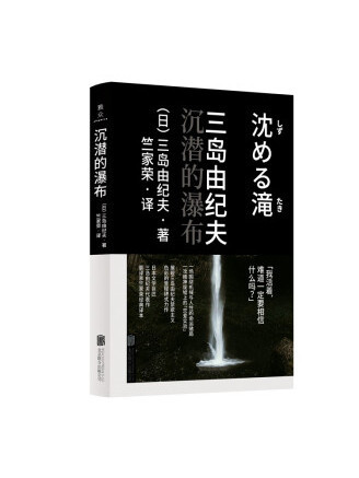 沉潛的瀑布(2022年北京聯合出版公司出版的圖書)