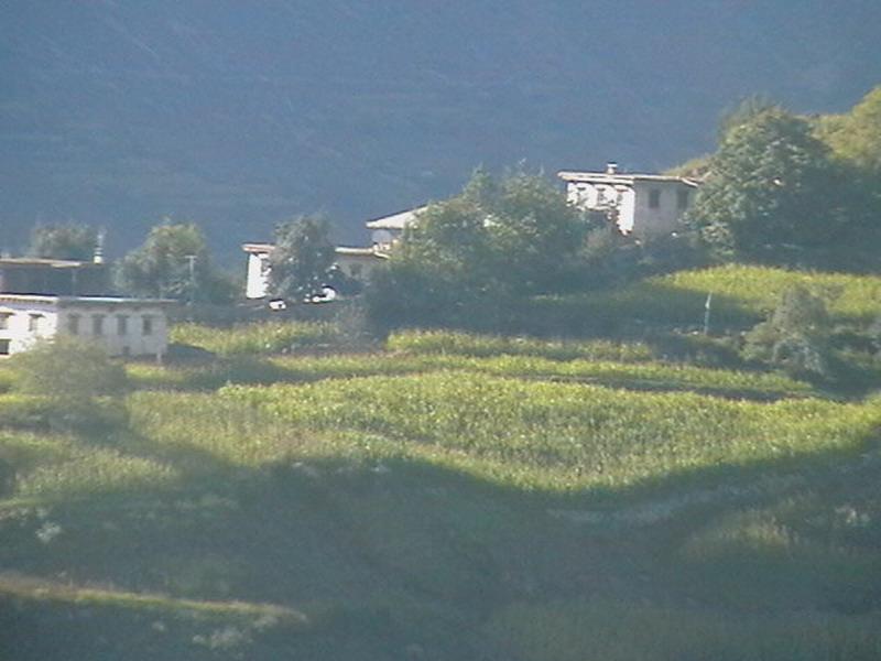 霧濃頂村