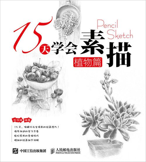 15天學會素描——植物篇