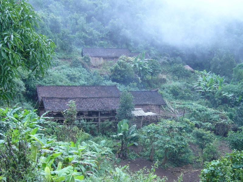 牛場自然村(雲南文山麻栗坡縣八布鄉和平村委牛場自然村)