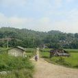 界嶺村(雲南省德宏州梁河縣勐養鎮下轄村)