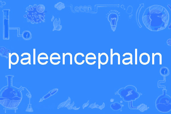 paleencephalon