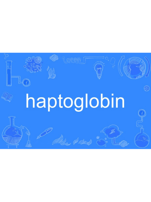 haptoglobin