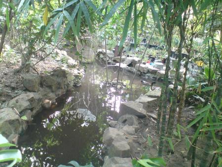 泰達熱帶植物園