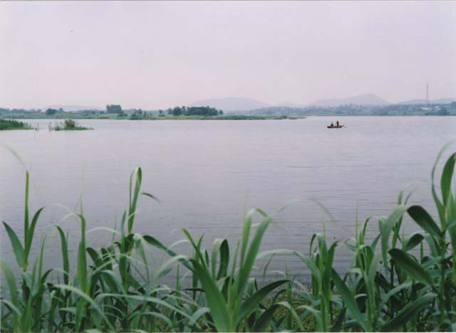 泰山水庫