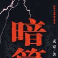 暗算(麥家創作長篇小說)