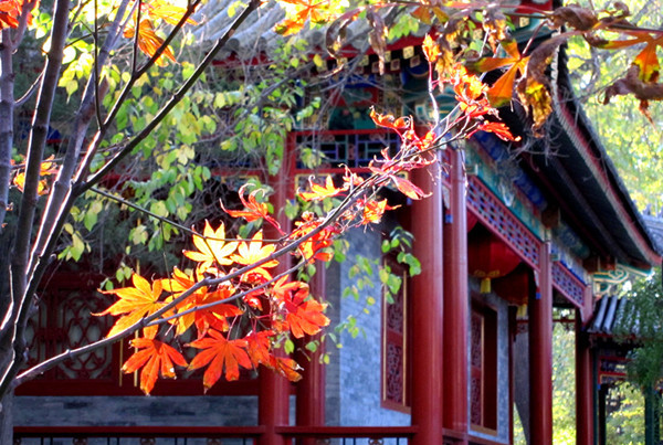 恭王府及花園