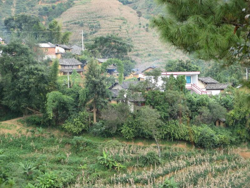 松坡村(雲南省雲縣曉街鄉松坡村)