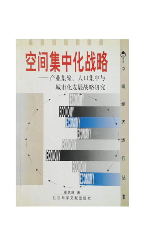 空間集中化戰略-產業集聚、人口集中與城市化發展戰略研究