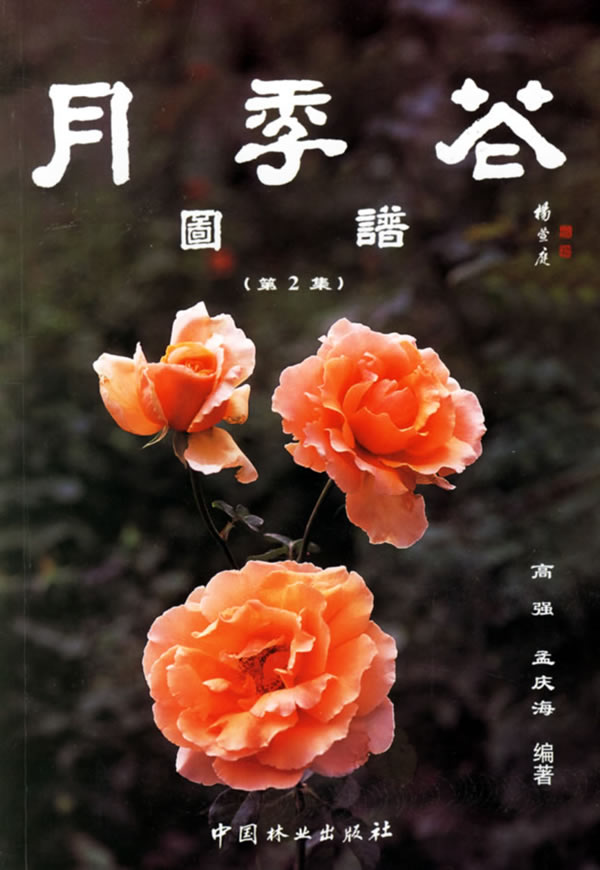 月季花圖譜