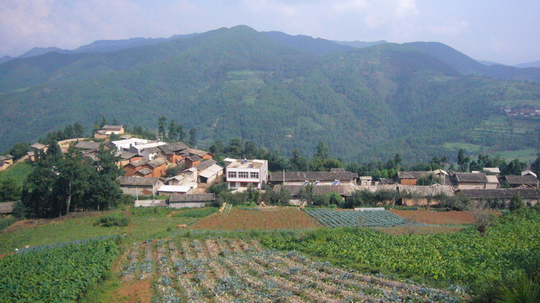 背陰箐村(雲南曲靖宣威市田壩鎮下轄村)