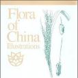 中國植物志圖集第22卷(2008年科學出版社出版的圖書)