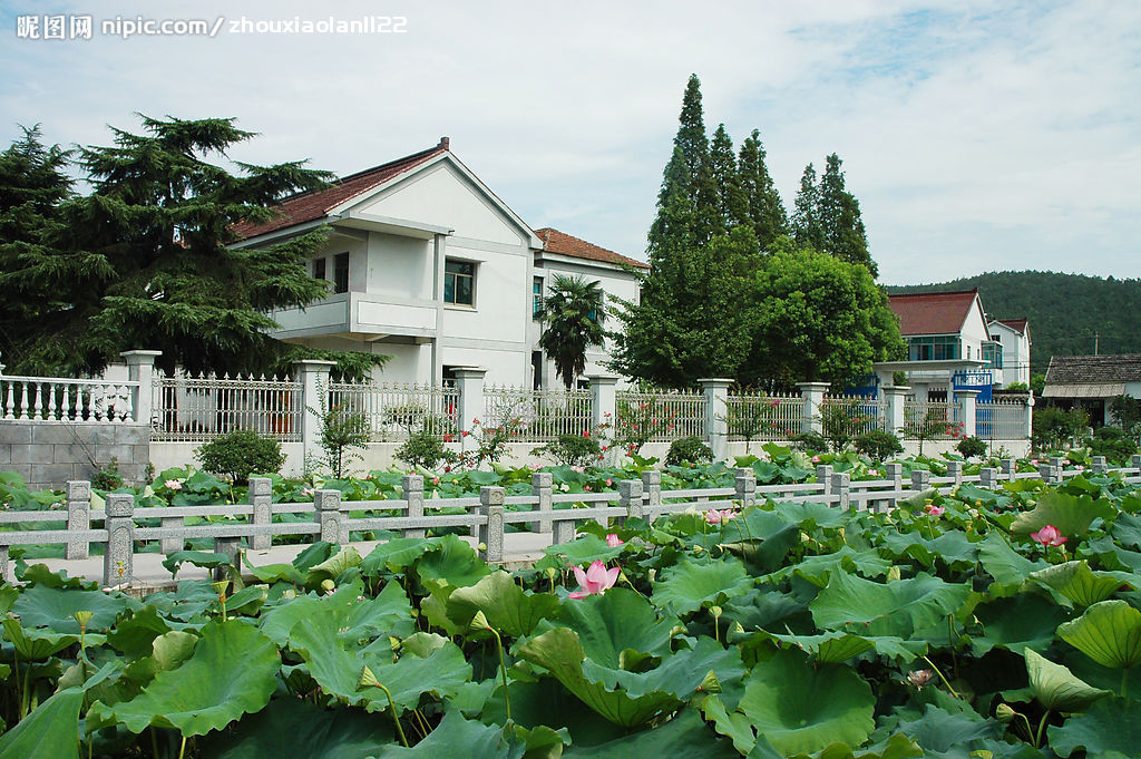 泉上村(山東省濟寧市微山縣馬坡鎮泉上村)