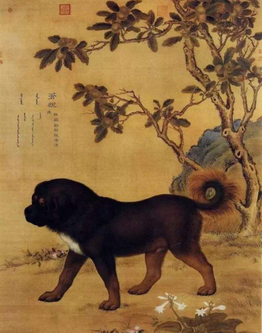 蒼猊圖