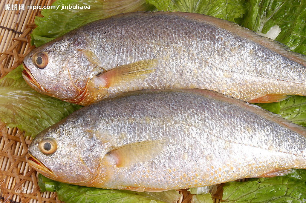 黃魚(杜甫著五律詩歌)