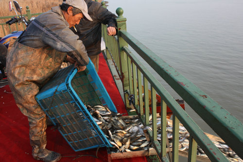 長江揚州段四大家魚國家級水產種質資源保護區