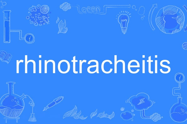 rhinotracheitis