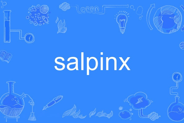 salpinx