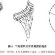 胃十二指腸間置空腸術