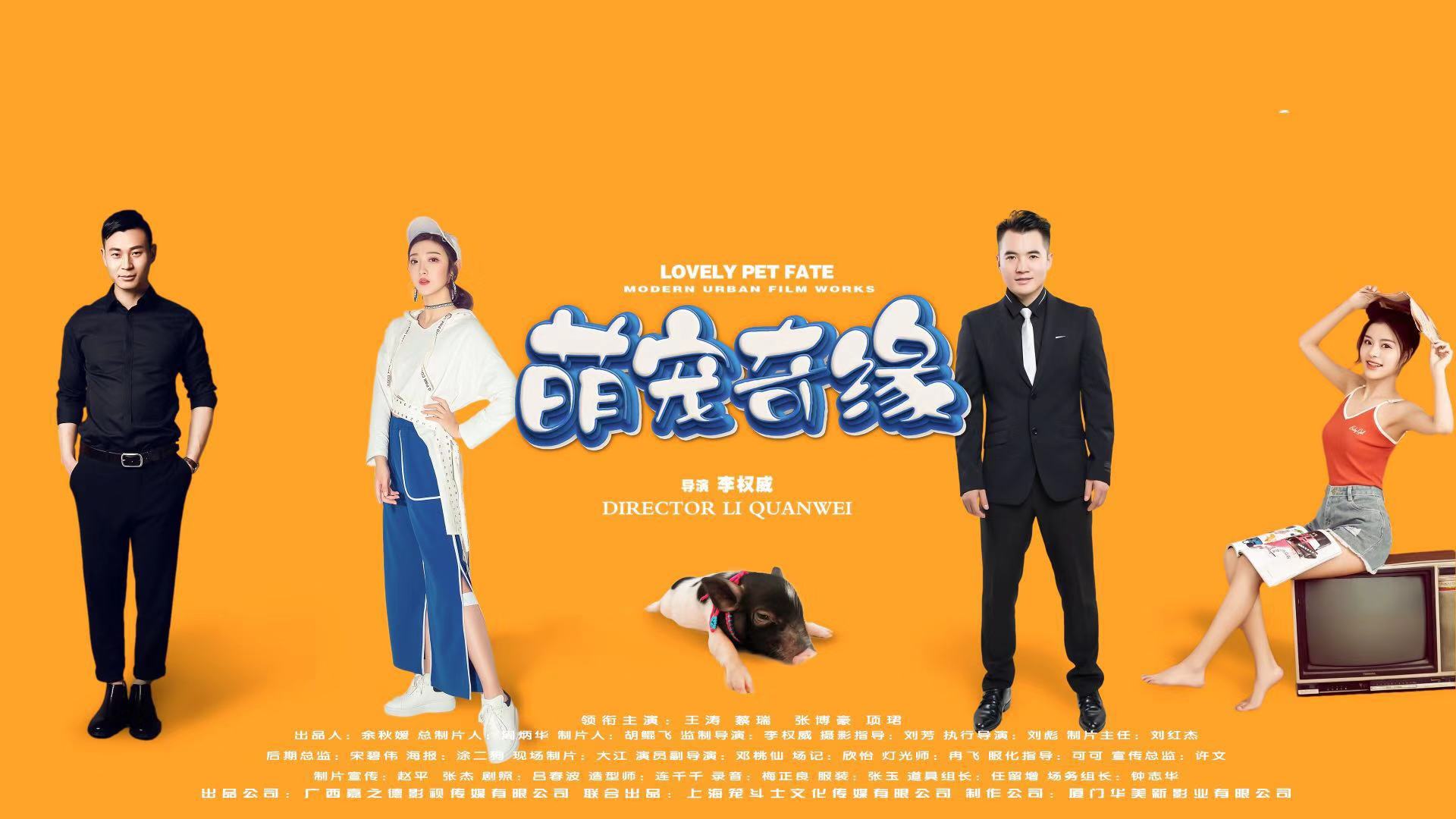 萌寵奇緣(2019年王濤主演電影)