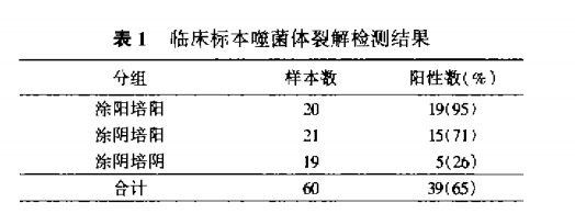 噬菌體裂解技術