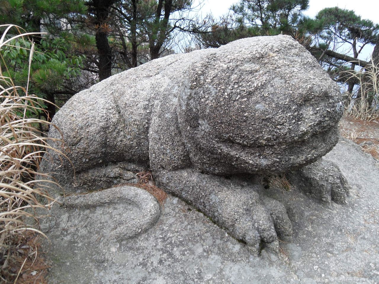 三清山龍虎殿前 石虎