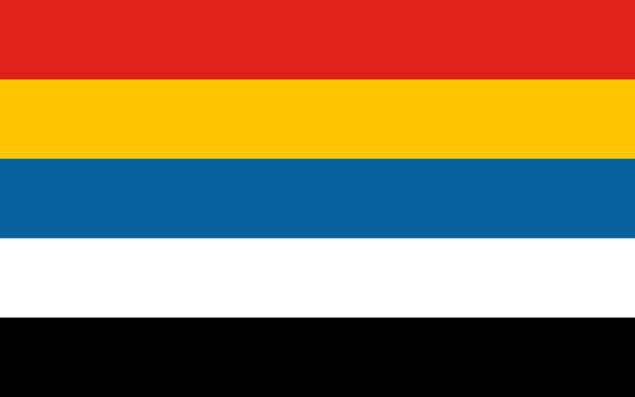 “中華民國臨時政府”旗幟